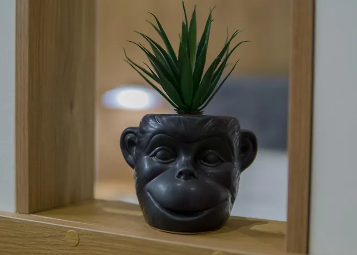 Morfeus Δυρράχιο